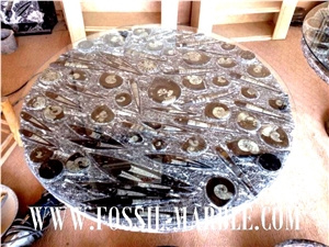Table Fossils Marble Round Tabletop, Gran Fossil Brown Marble Home Decor