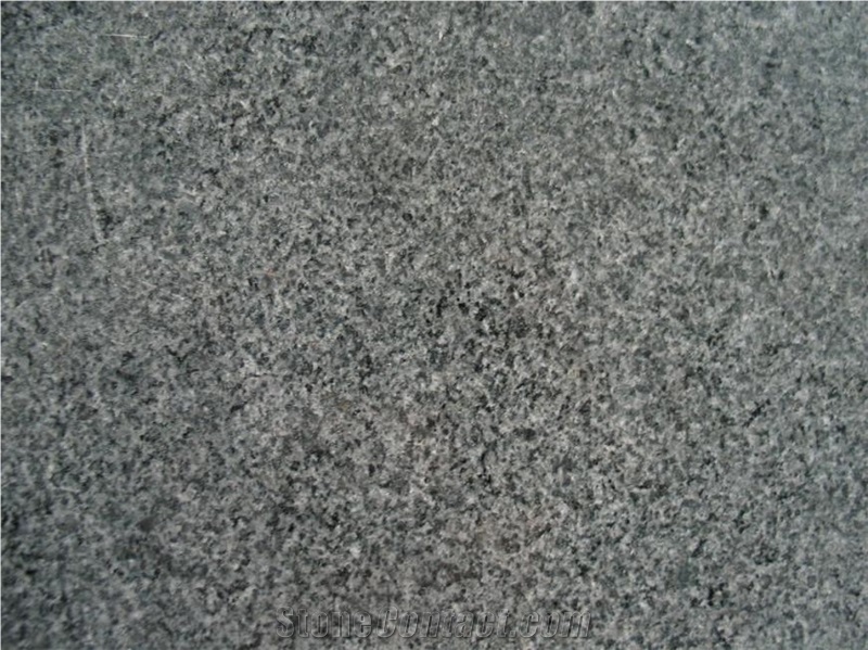 G654 Granite/Padang Black Granite/Padang Dark Granite Tiles Polishing