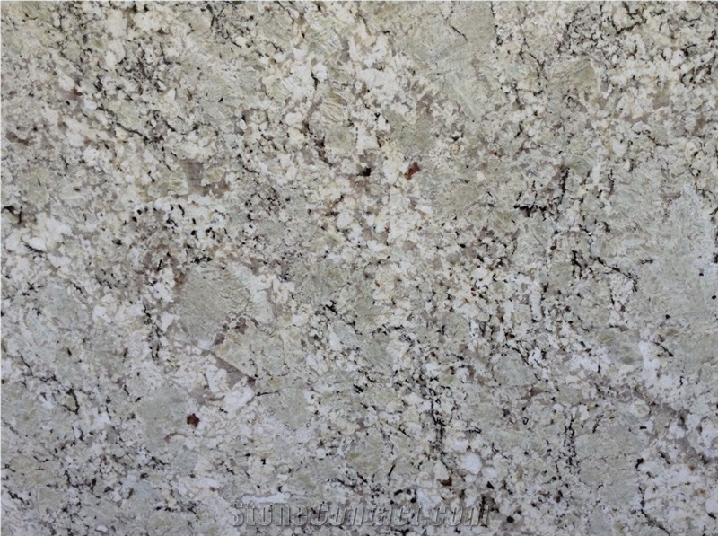 Frost White Granite Slabs & Tiles
