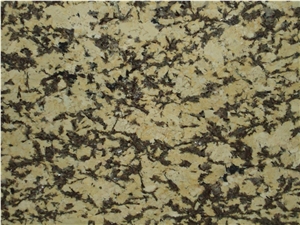 Splendor Gold Granite Slabs, Yellow Granite Slabs Brazil