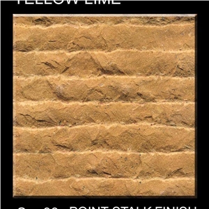 Beige Sandstone Wall Tiles