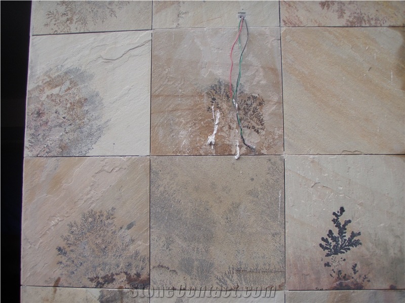 Fossil Mint Sandstone Tiles, Beige Sandstone Tiles & Slabs India