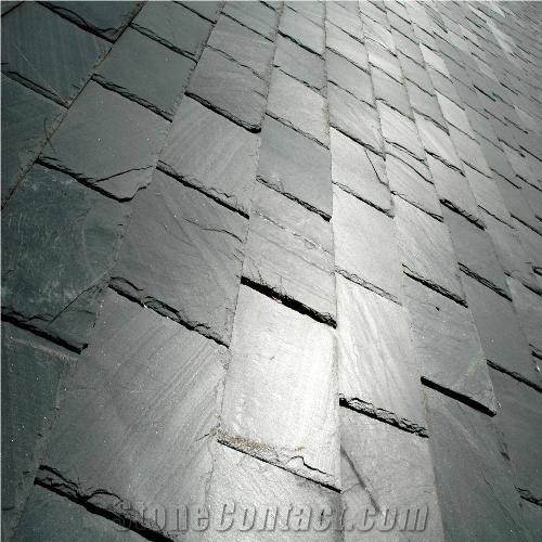 Himachal Black Slate Slabs & Tiles, India Black Slate Floor Tiles, Wall Tiles