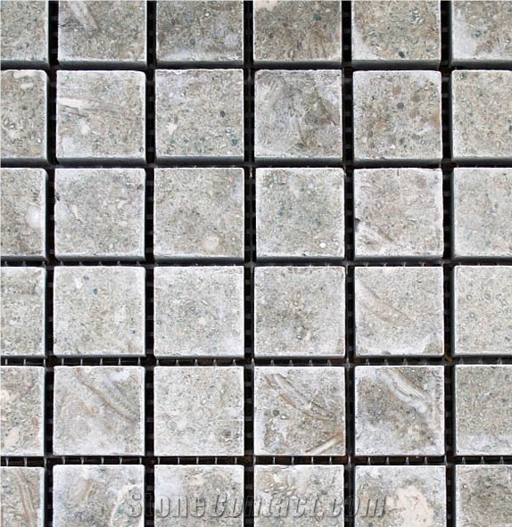 Seagrass Limestone Mosaic