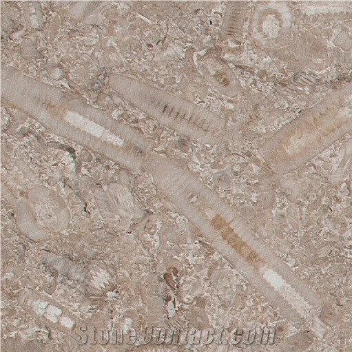 Swaledale Fossil Brown Limestone Tiles