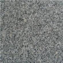 Grey Granite - G341 Slabs & Tiles, China Grey Granite
