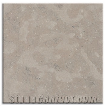Shandora Limestone Honed Tiles