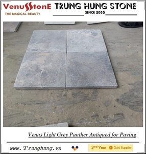Vietnam Light Grey Antiqued Marble Paving