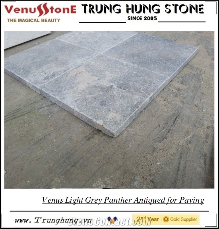 Vietnam Light Grey Antiqued Marble Paving