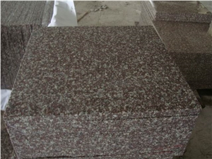 G664 Violet Luoyuan Granite Tiles , 664 Granite Wall Skirting Tiles