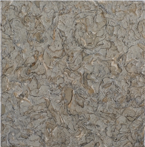 Shell Rhapsody Sage Slabs & Tiles, Shell Stone Limestone Tiles