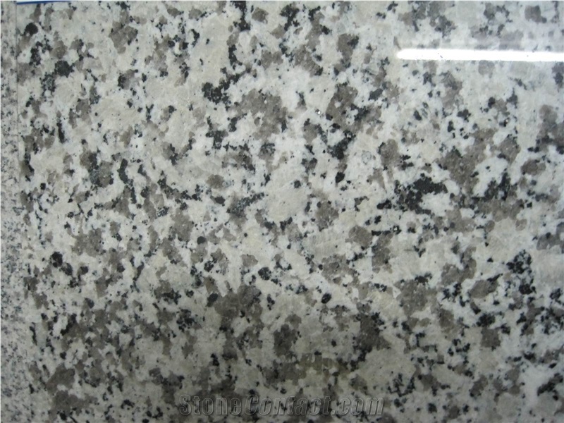 G439 Granite, Big Flower White Granite Slabs & Tiles