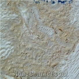 Gold Dominican Coral Stone Tile, Coralina Gold Coral Stone Wall Tiles