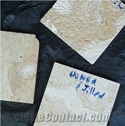 Gold Dominican Coral Stone Tile, Coralina Gold Coral Stone Wall Tiles