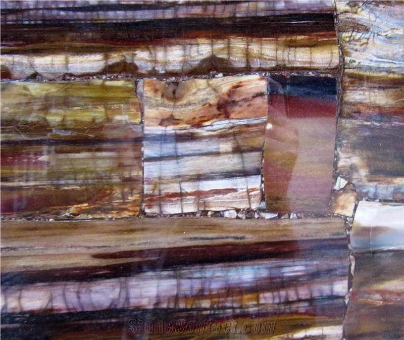 Semi-Precious Petrified Wood Slabs, Tile and Decor