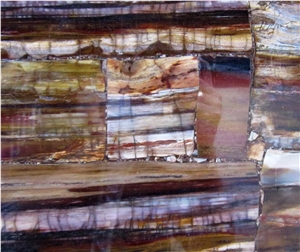 Semi-Precious Petrified Wood Slabs, Tile and Decor