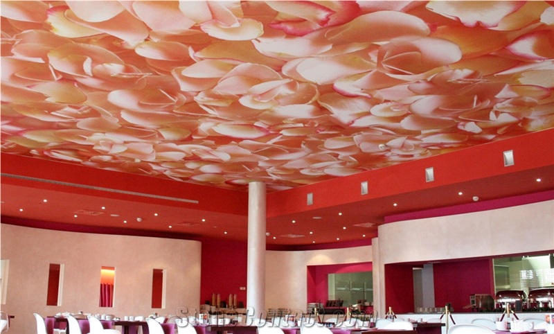 Wall and Ceiling Textile Murals