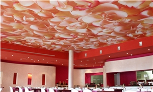 Wall and Ceiling Textile Murals