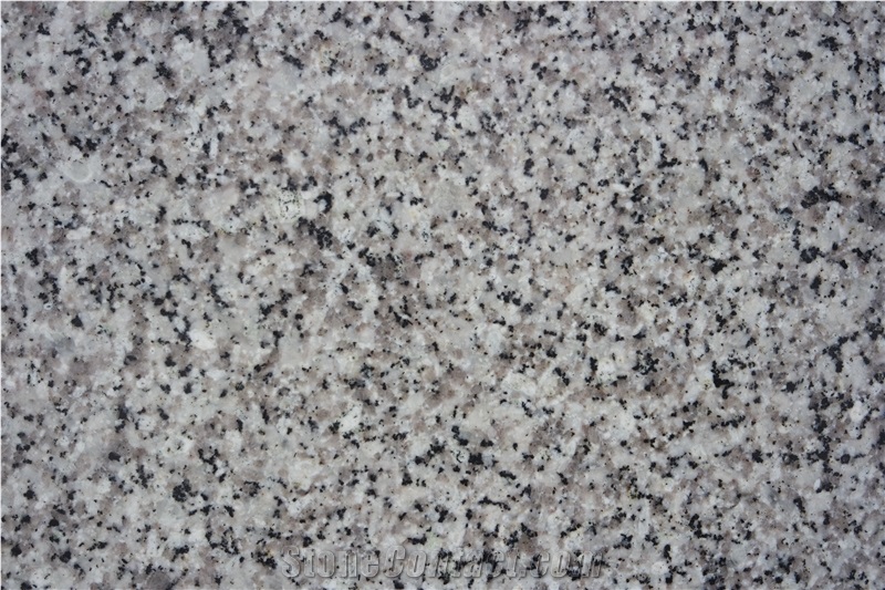 Beautiful Pear Flower White Granite Slabs & Tiles, China White Granite