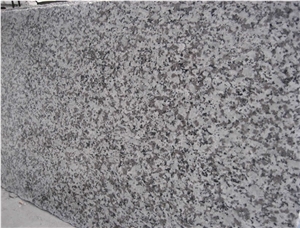 Big White Flower Granite Polished Slab, G439 Granite Slabs,Tiles