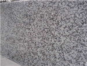 G439 Granite Polished Slab, China Grey Big Flower White Granite Tiles