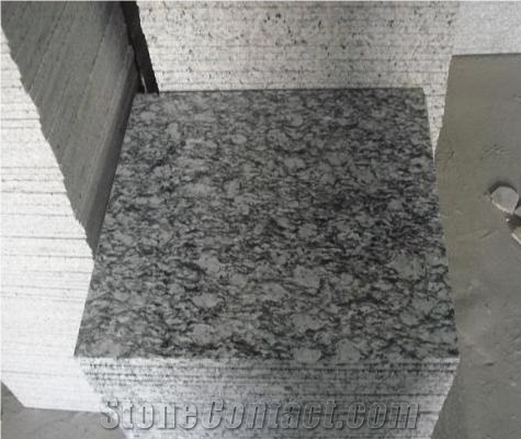 G568 Surf White Granite Polished Slab & Tile, China White Granite