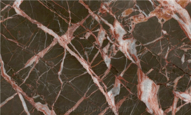 China Cuckoo Red Marble,Royal Flower Brown Beauty Marble,Guangxi Red Marble Tiles for Wall Panel