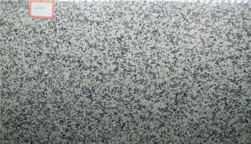 G640 Granite Black White Flower Granite Dongshi White Granite Floor Covering Tiles