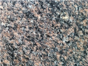 Royal Brown Granite Slabs, Costa Dakota Granite Tiles & Slabs