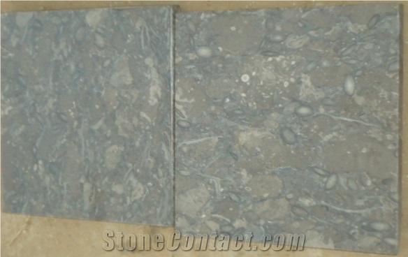 Dark Fossil Brown (Gray Limestone) Flooring Slabs from Pakistan, Grey Pakistan Limestone Tiles & Slabs