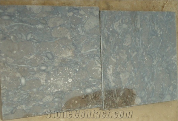 Fossil Brown (Dark Gray) Limestone for Interior Flooring