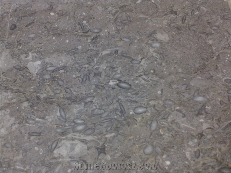 Fossil Brown (Dark Gray) Limestone for Interior Flooring