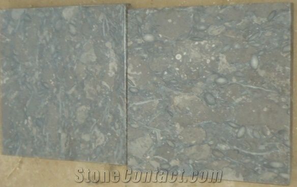 Fossil Dark Gray Limestone Slabs Flooring Grey Stan Fossil Dark Gray Limestone Slabs Flooring Grey Stan Tiles
