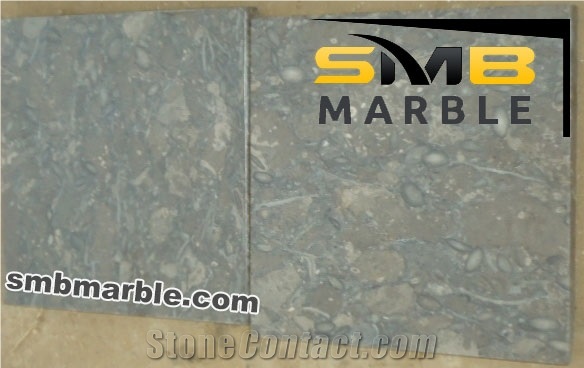 High Quality Limestone Gray Colored (Fossil Brown) Big Sized Slabs - Smb Marble