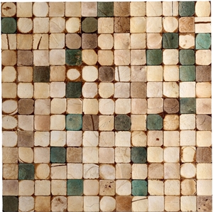 China Coco Mosaic Tiles Manufacture Cosf-Ttn12