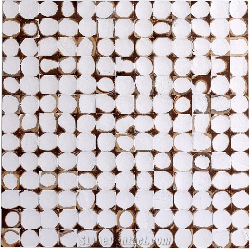 China Coco Mosaic Tiles Manufacture Cosf-Ttn13