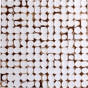 China Coco Mosaic Tiles Manufacture Cosf-Ttn13