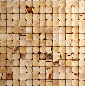 China Coco Mosaic Tiles Manufacture Cosf-Ttn15