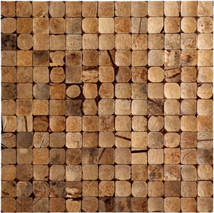 China Coco Mosaic Tiles Manufacture Cosf-Ttn19