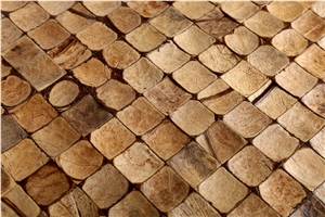 China Coco Mosaic Tiles Manufacture Cosf-Ttn19