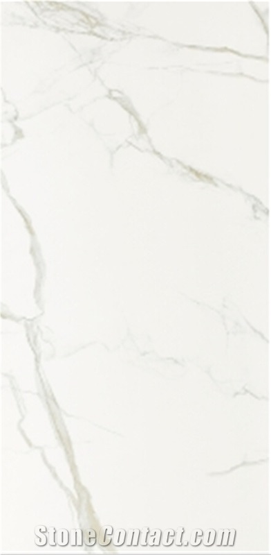 Marble Porcleain Tile M126p39b 60x60 60x120