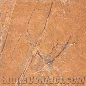 Rain Forest Stone Mb6043 600x600mm Glazed Polished Tile