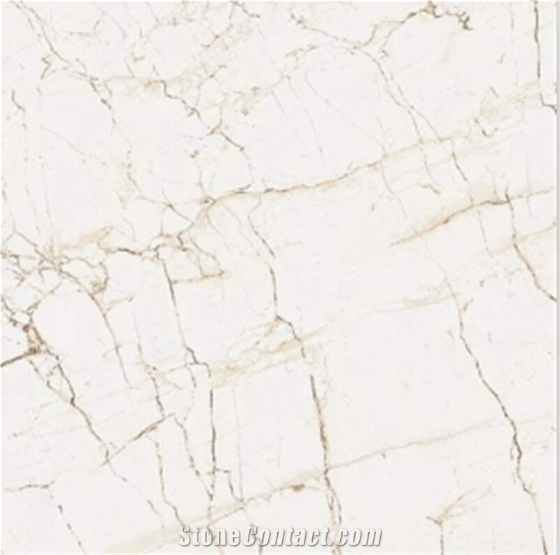 White Jazz Stone T60301D 600X600MM Glazed Polished Tile