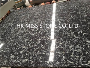 Polished China Black Fossil Slabs,Flamed Tiles/Cut-To-Size,China Black Marble