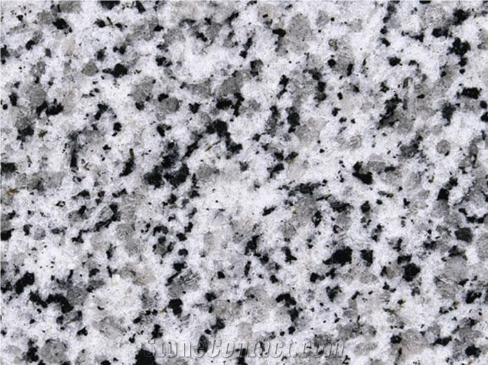 G640 White Black Flower Granite Slabs & Tiles, China White Granite