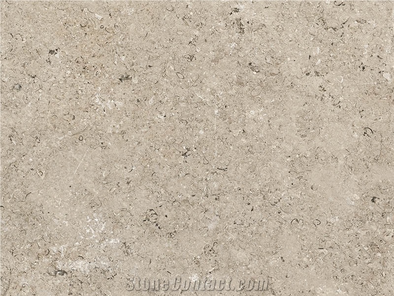 Sinai Pearl Limestone Tiles & Slabs, Beige Egypt Limestone Tiles & Slabs