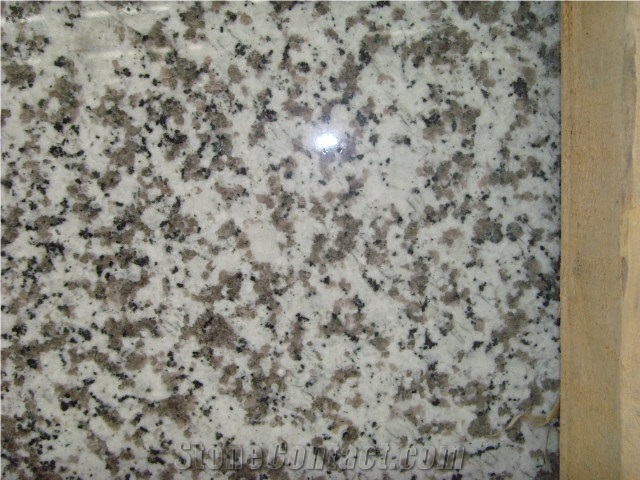 Stone Wall Covering White Flower G439 Chinese Granite