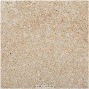 Amarillo Fosil Limestone Tiles & Slabs, Yellow Polished Limestone Floor Tiles, Wall Tiles