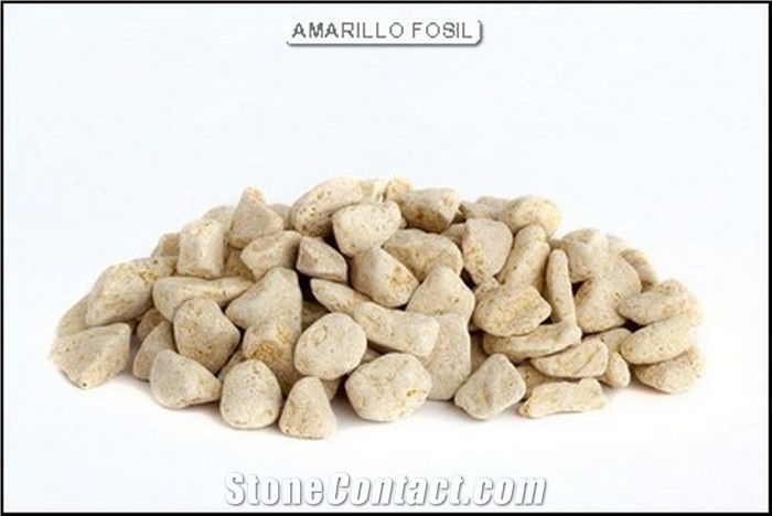Amarillo Fosil, Yellow Sandstone Pebble & Gravel