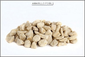 Amarillo Fosil, Yellow Sandstone Pebble & Gravel